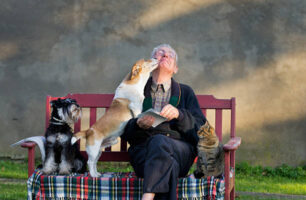 Compagnons & soins animaliers